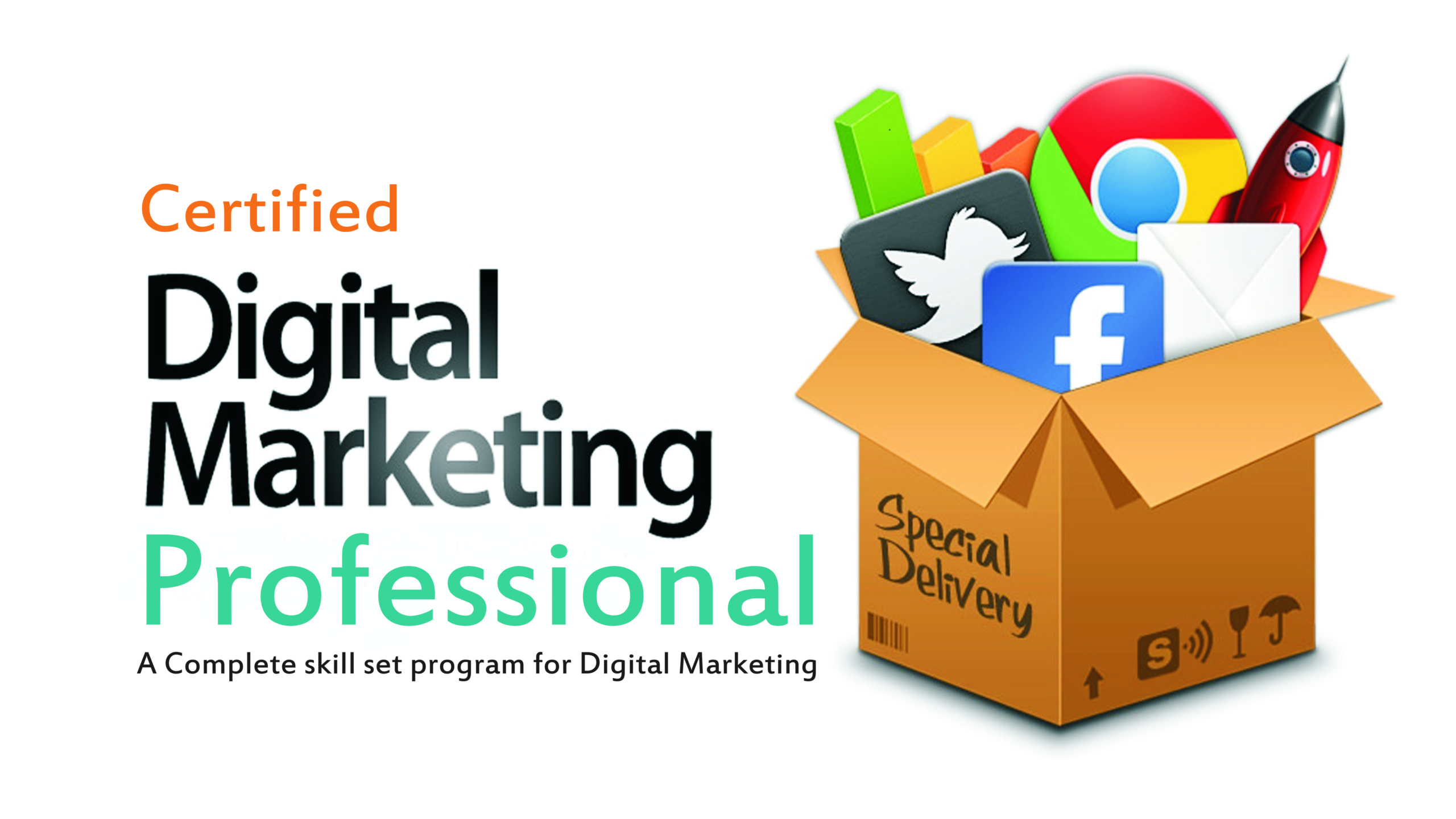 Digital Marketing Professional