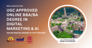 BBA/BA in Digital Marketing in Chittorgarh