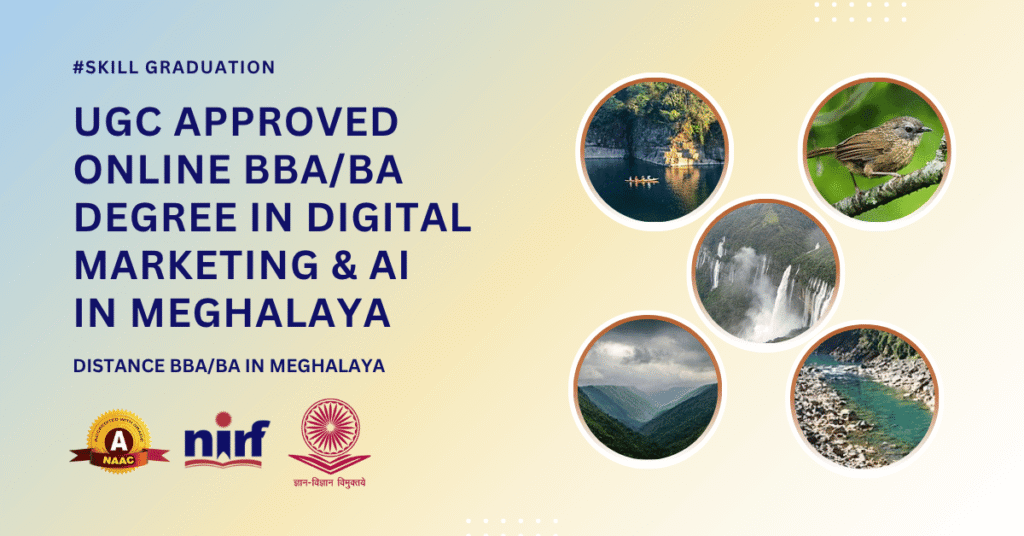 BBA/BA in Digital Marketing & Artificial Intelligence in Meghalaya